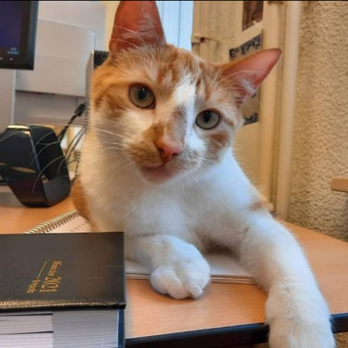 WINSTON DE BUREAUKAT