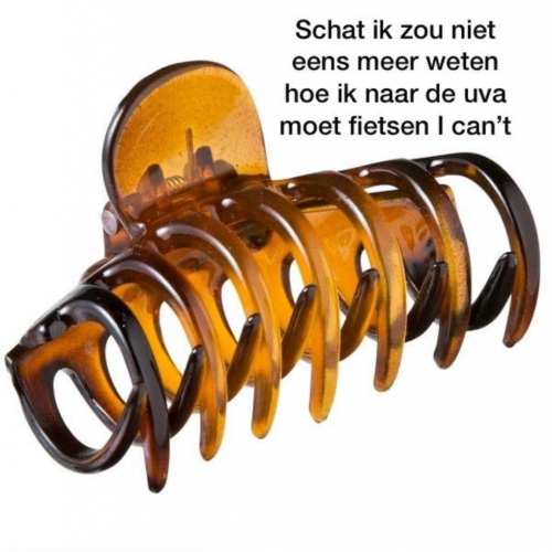DE HAARCLIP VAN MARIE-CLAIRE