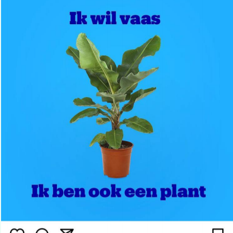 BOL.COM