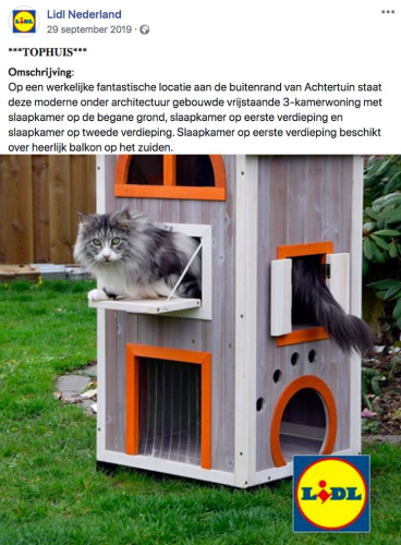 LIDL KATTENHUIS - DORST & LESSER